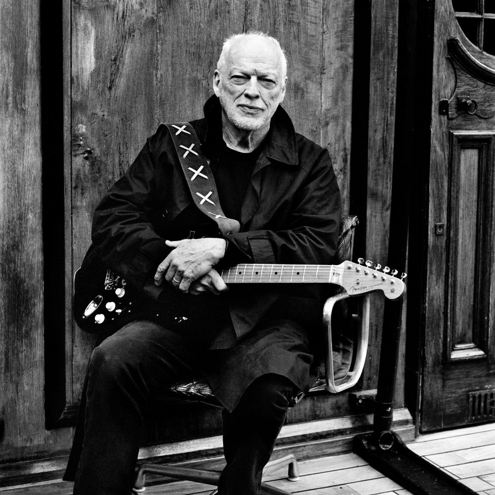 DAVID GILMOUR - zdjęcie profilowe