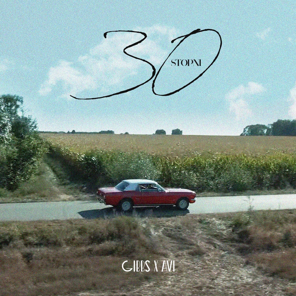Okładka: Avi, Gibbs, DOPEHOUSE - 30 stopni
