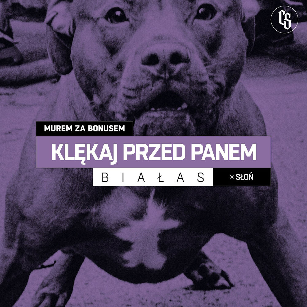 Okładka: Białas, Słoń - Klękaj przed panem