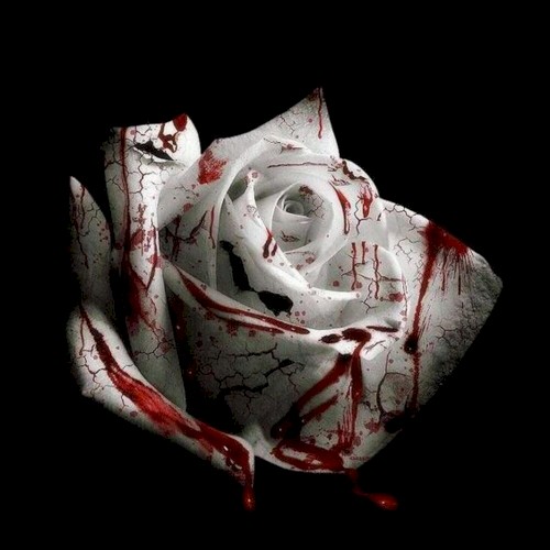 Okładka: d4vd - ROMANTIC HOMICIDE