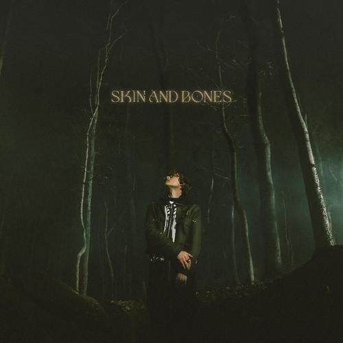Okładka: David Kushner - Skin and Bones