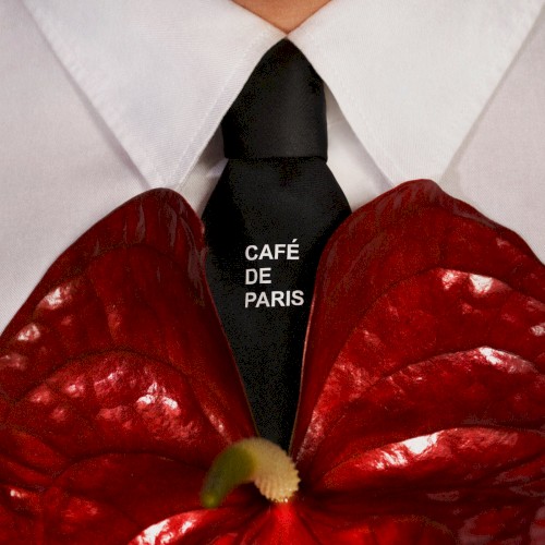 Okładka: Dawid Kwiatkowski - Café de Paris