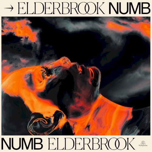 Okładka: ELDERBROOK - NUMB