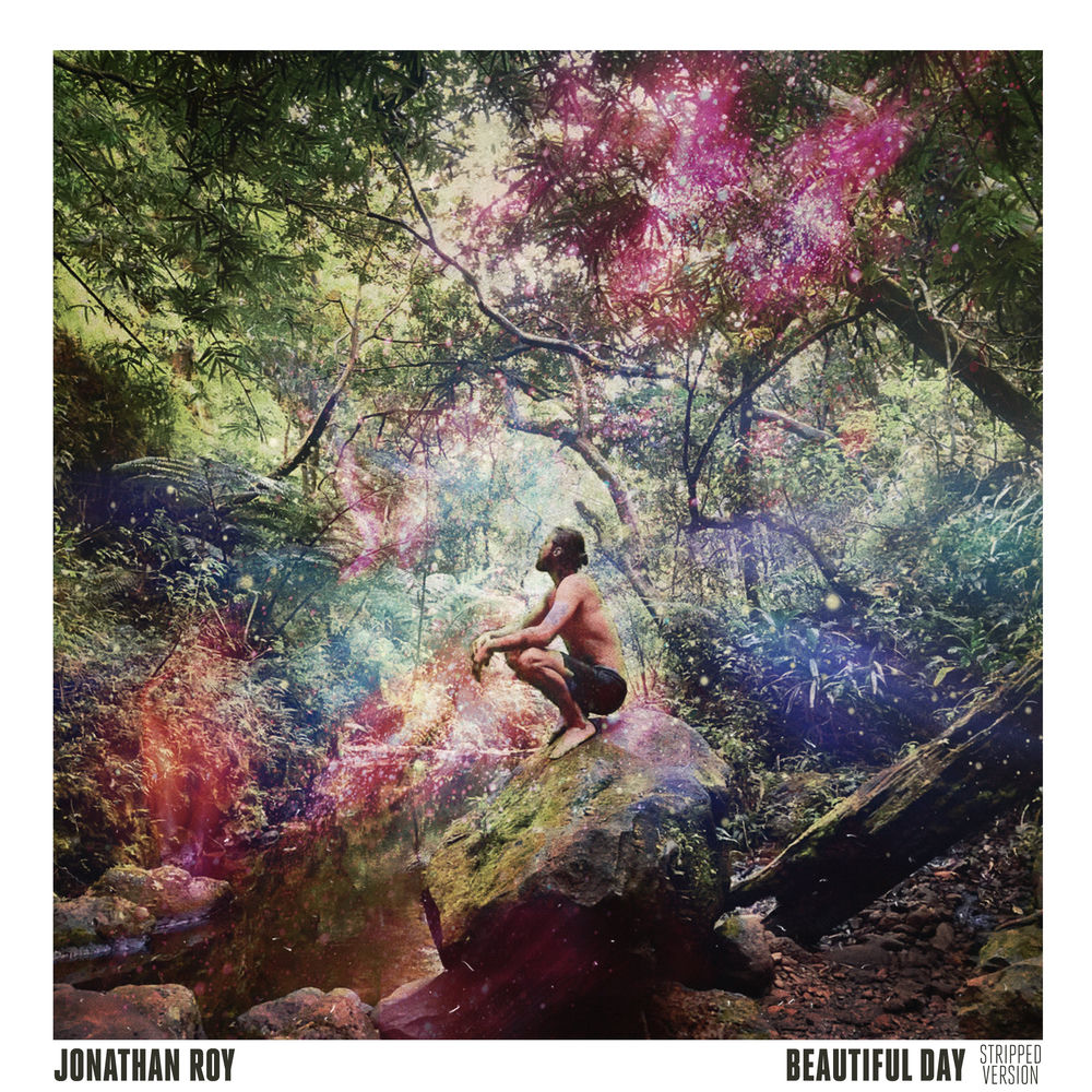 Okładka: Jonathan Roy - Beautiful Day
