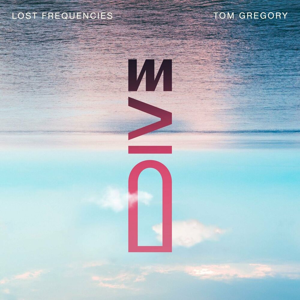 Okładka: Lost Frequencies, Tom Gregory - Dive