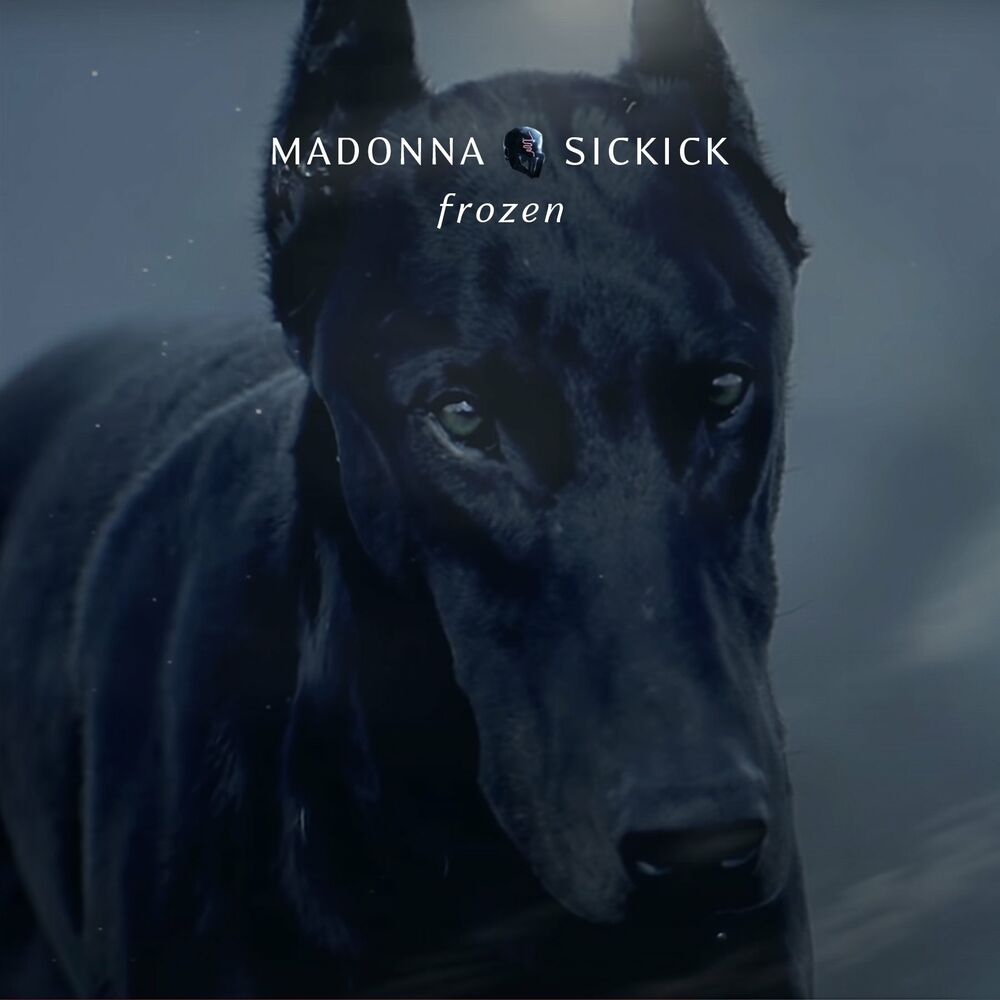 Okładka: Madonna, Sickick - Frozen