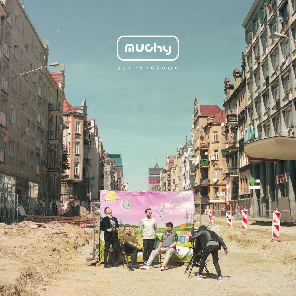 Okładka: Muchy, Bela Komoszyńska, Jan Borysewicz - Szaroróżowe