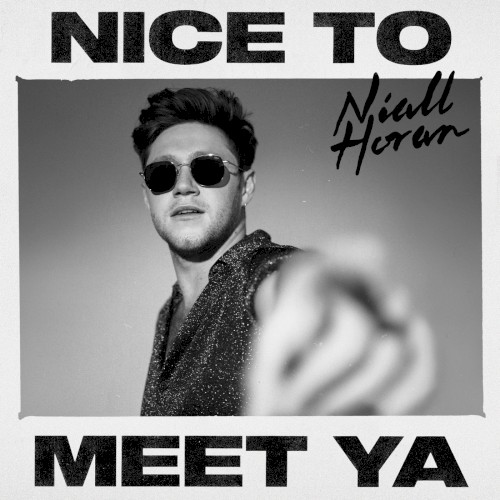 Okładka: Niall Horan - Nice To Meet Ya