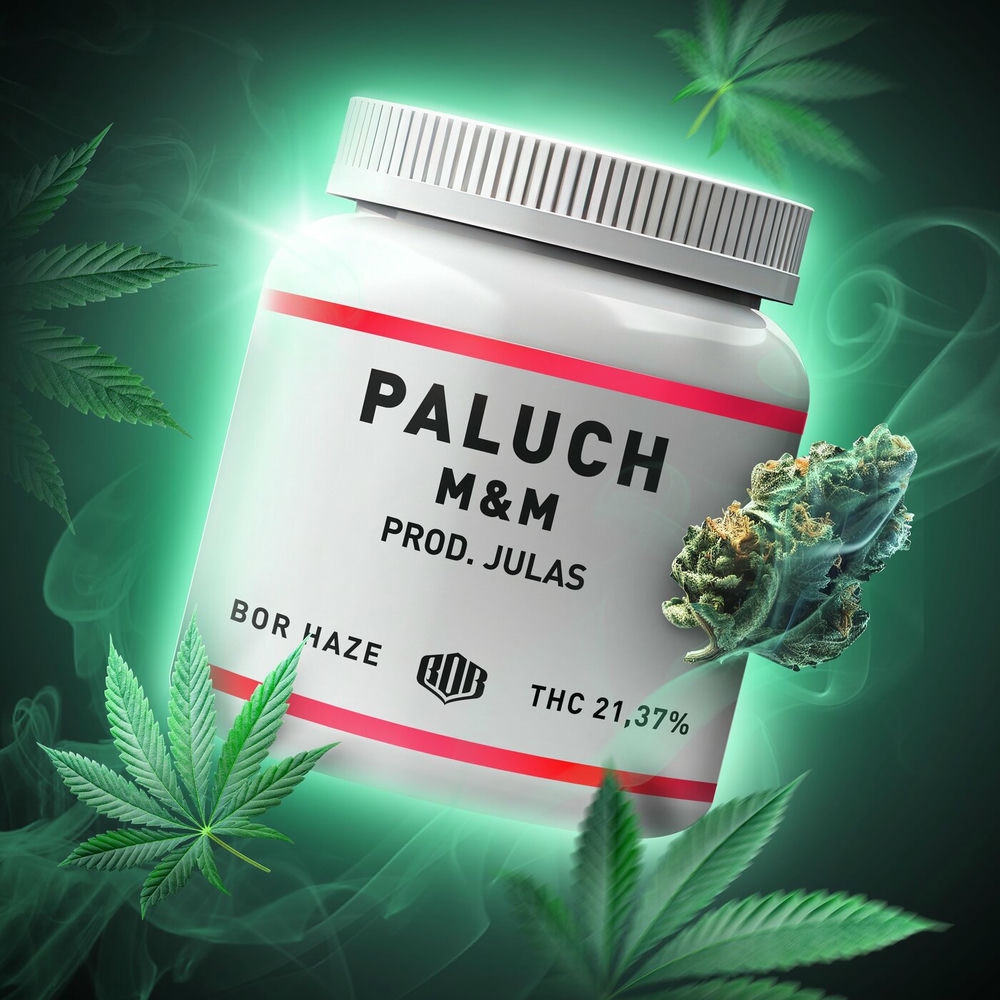 Okładka: Paluch, Julas - M&M