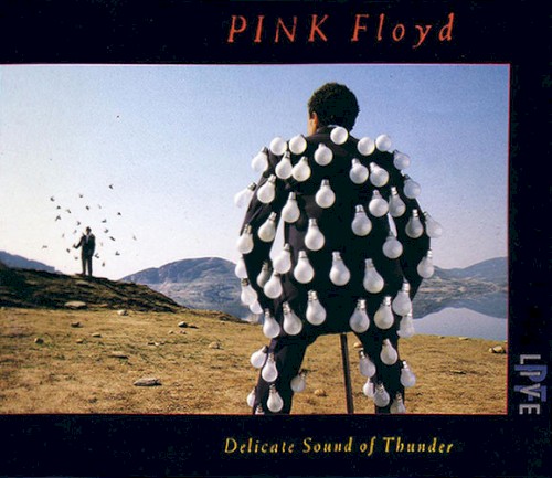 Okładka: Pink Floyd - DELICATE SOUND OF THUNDER