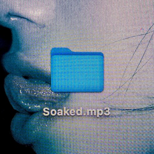 Okładka: Shy Smith - Soaked