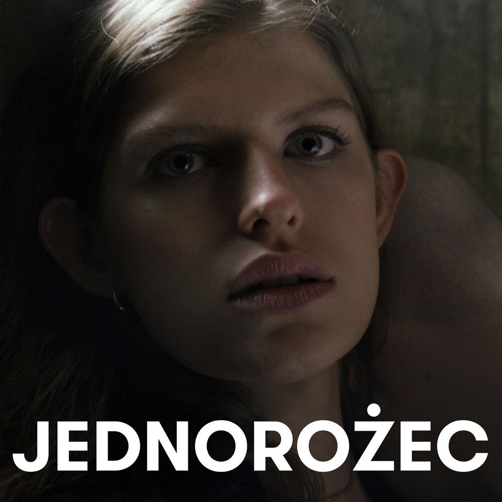 Okładka: Sokół, Bob Air - Jednorożec