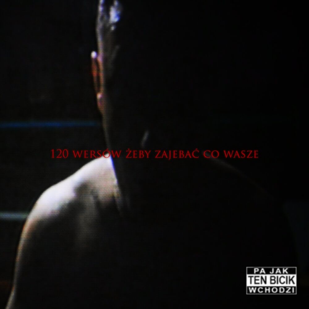 Okładka: vkie - 120 WERSÓW ŻEBY ZAJE*AĆ CO WASZE