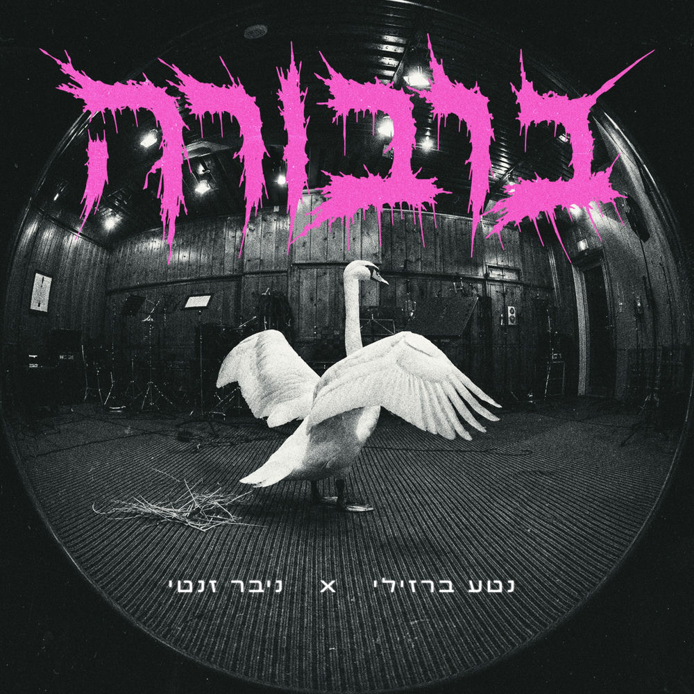 Okładka: ברבורה