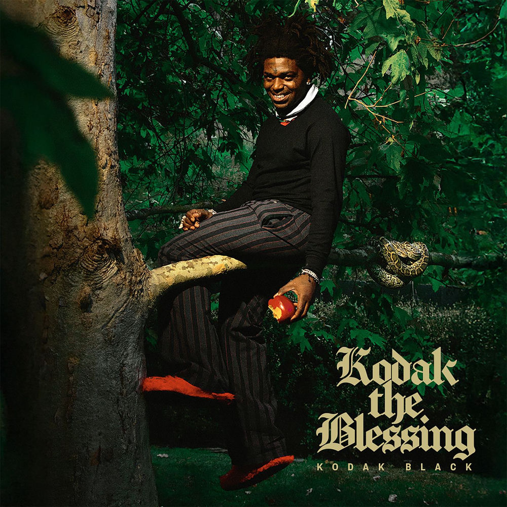 Okładka: Kodak The Blessing