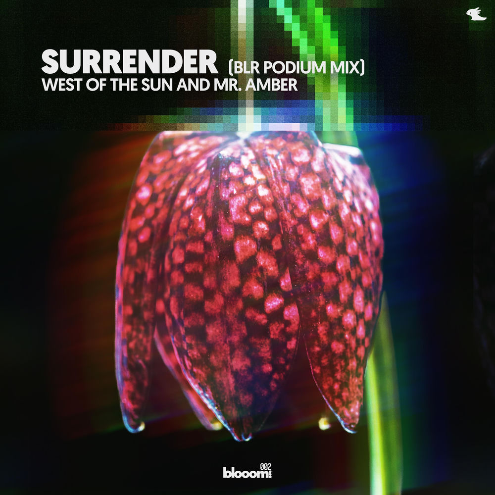 Okładka: Surrender (BLR Podium Mix)
