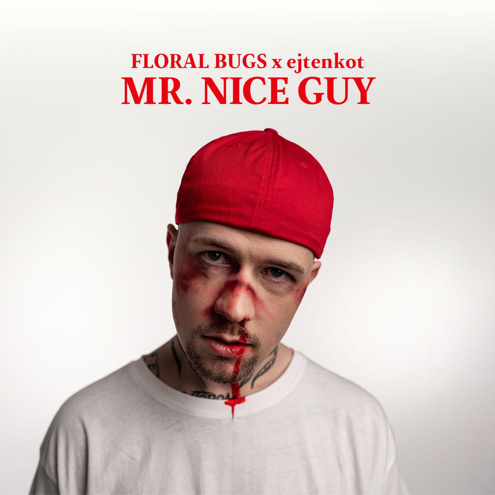 Okładka: Mr. Nice Guy