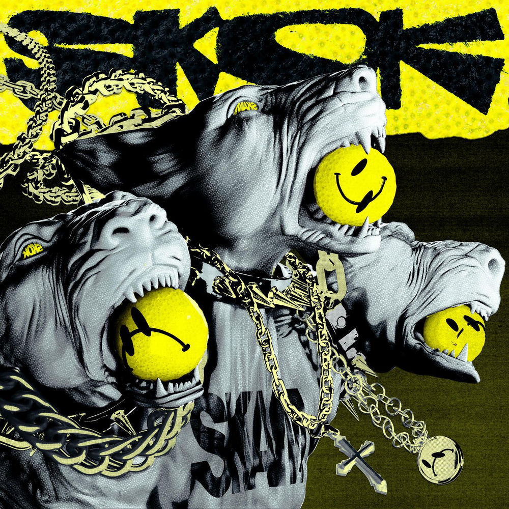Okładka: SKAM