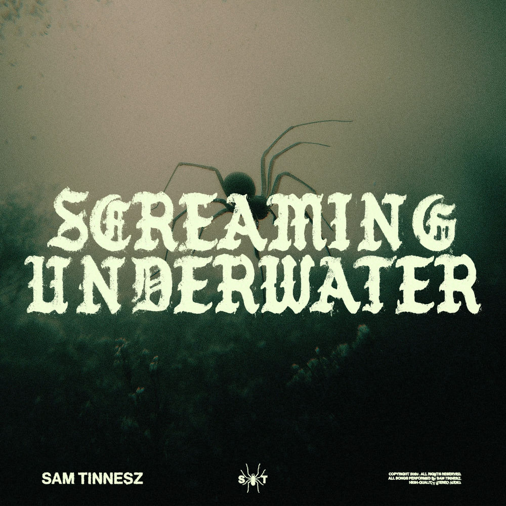 Okładka: Screaming Underwater
