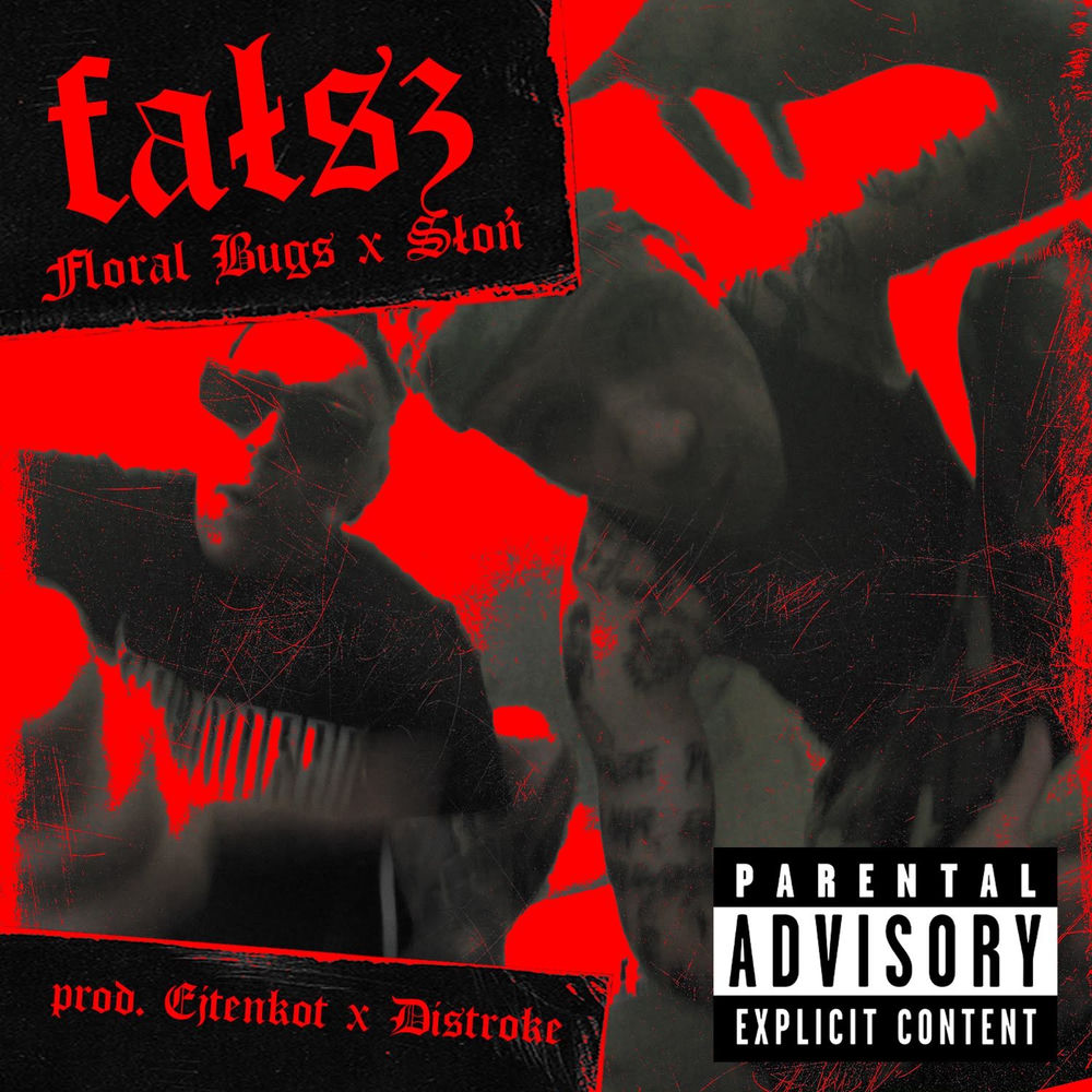 Okładka: Fałsz