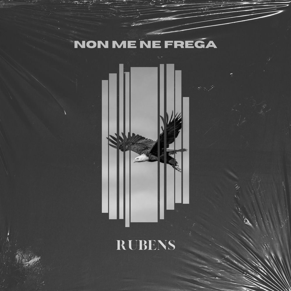 Okładka: Non Me Ne Frega