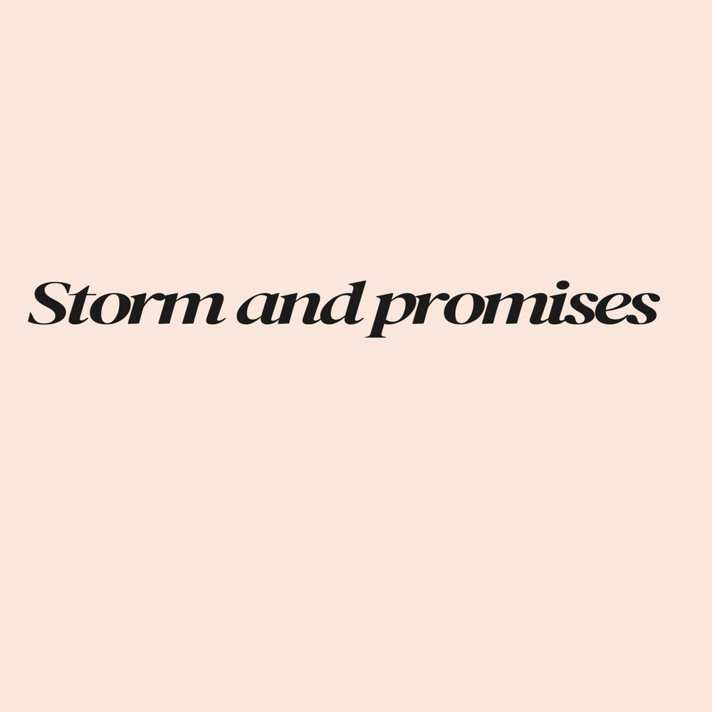 Okładka: Storms and Promises