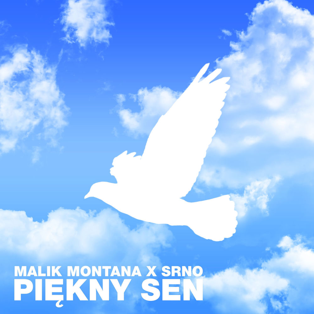 Okładka: Piękny sen