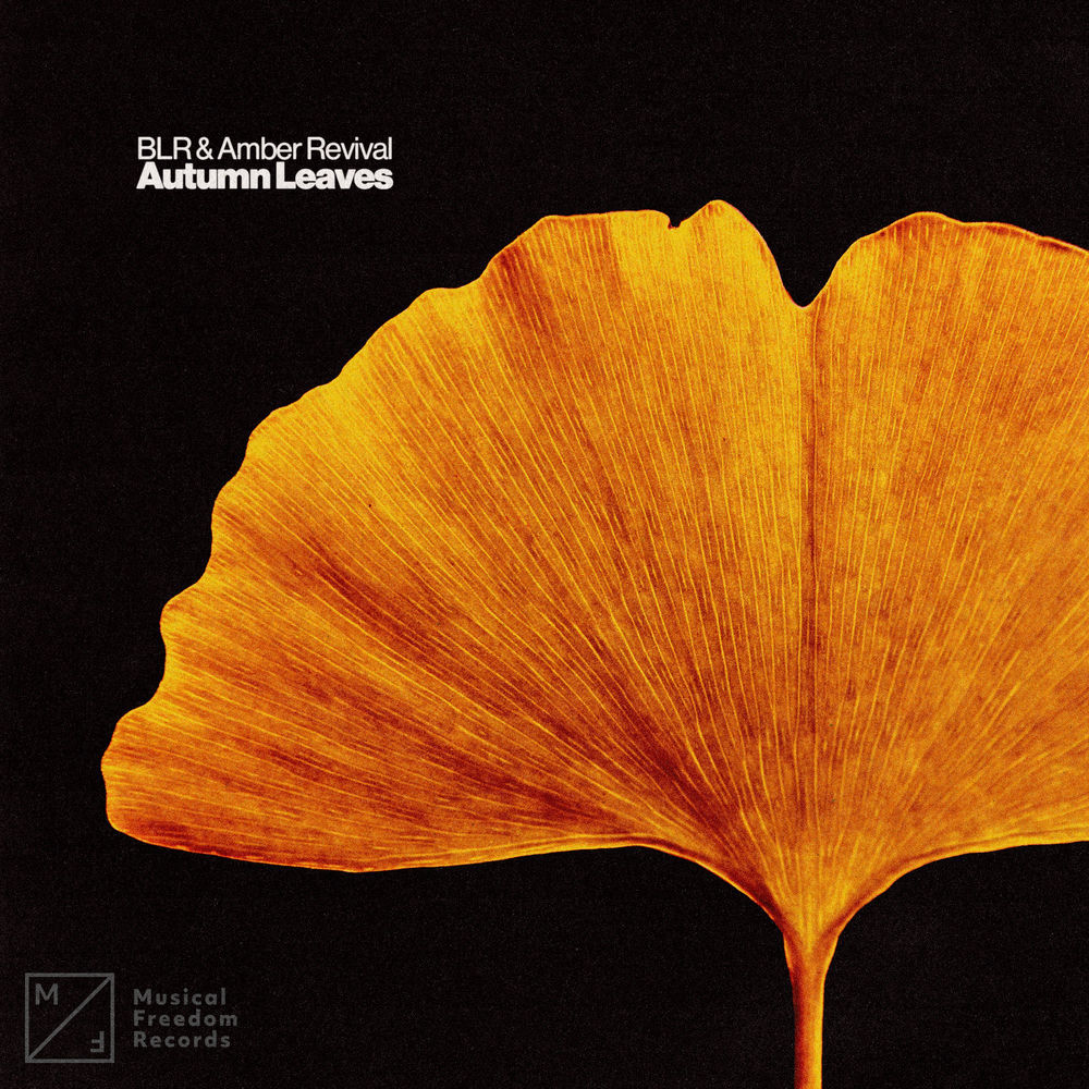 Okładka: Autumn Leaves