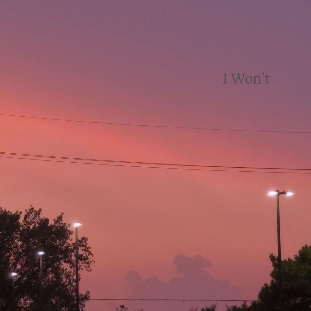 Okładka: I Won't