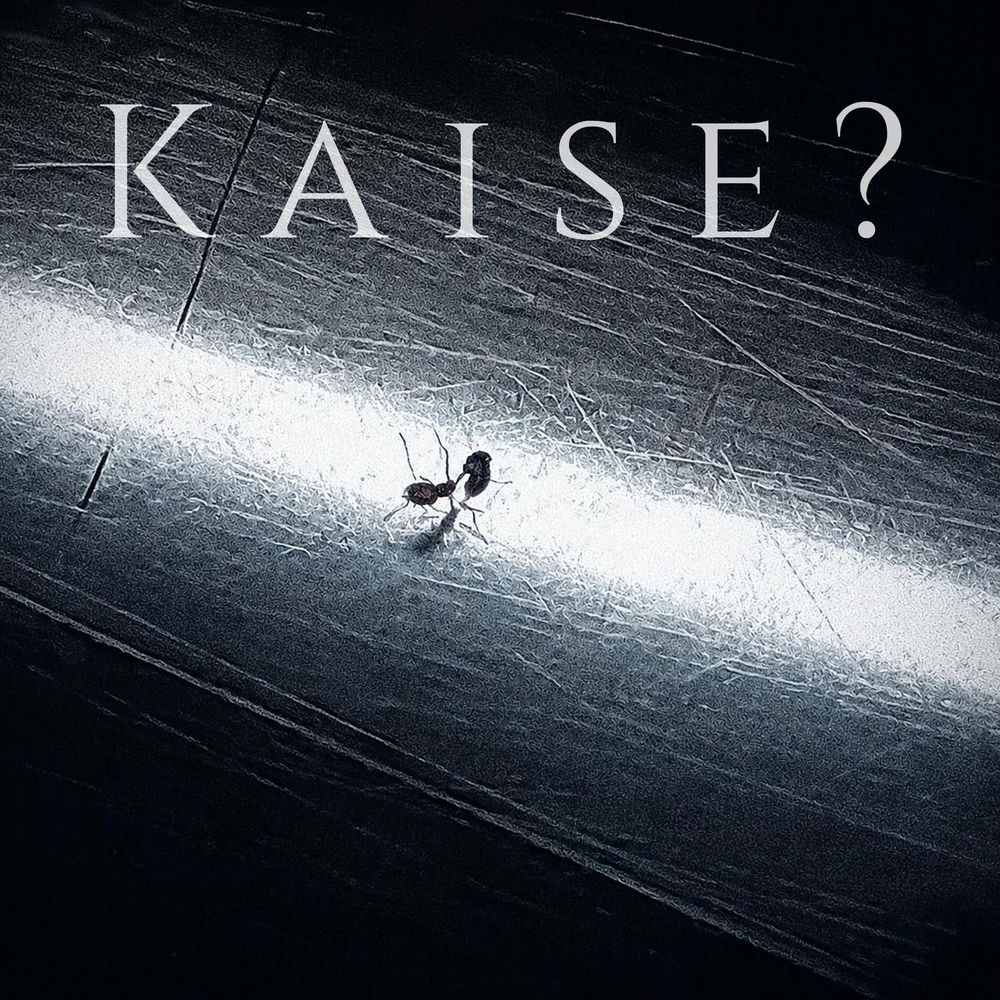 Okładka: Kaise?