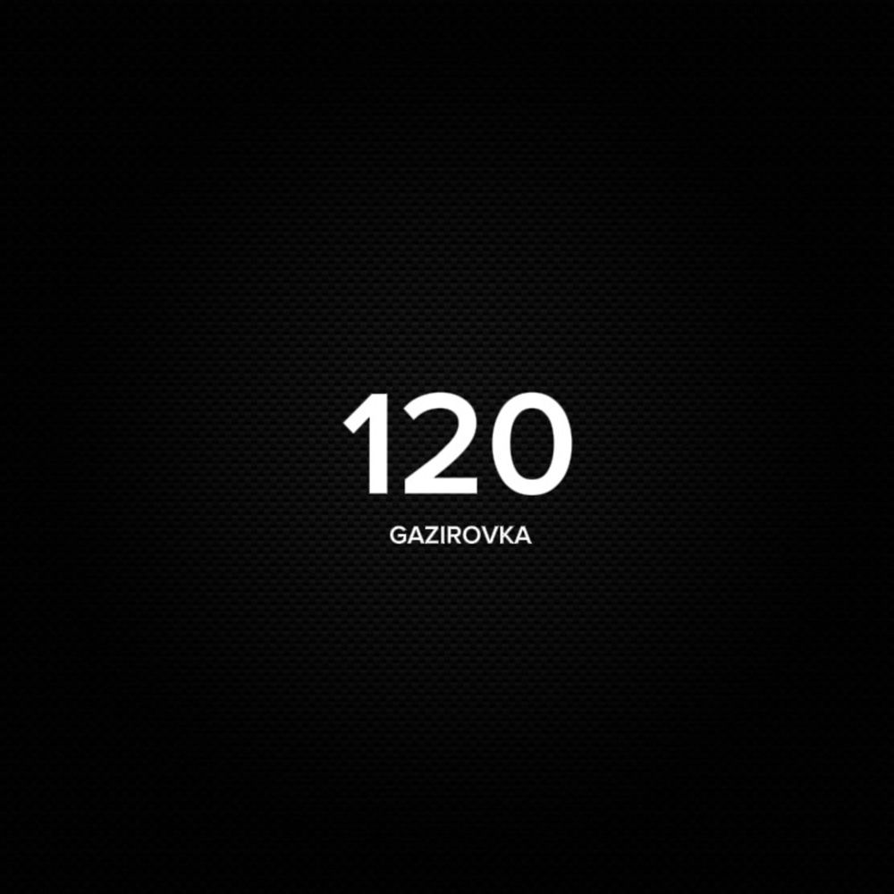 Okładka: 120