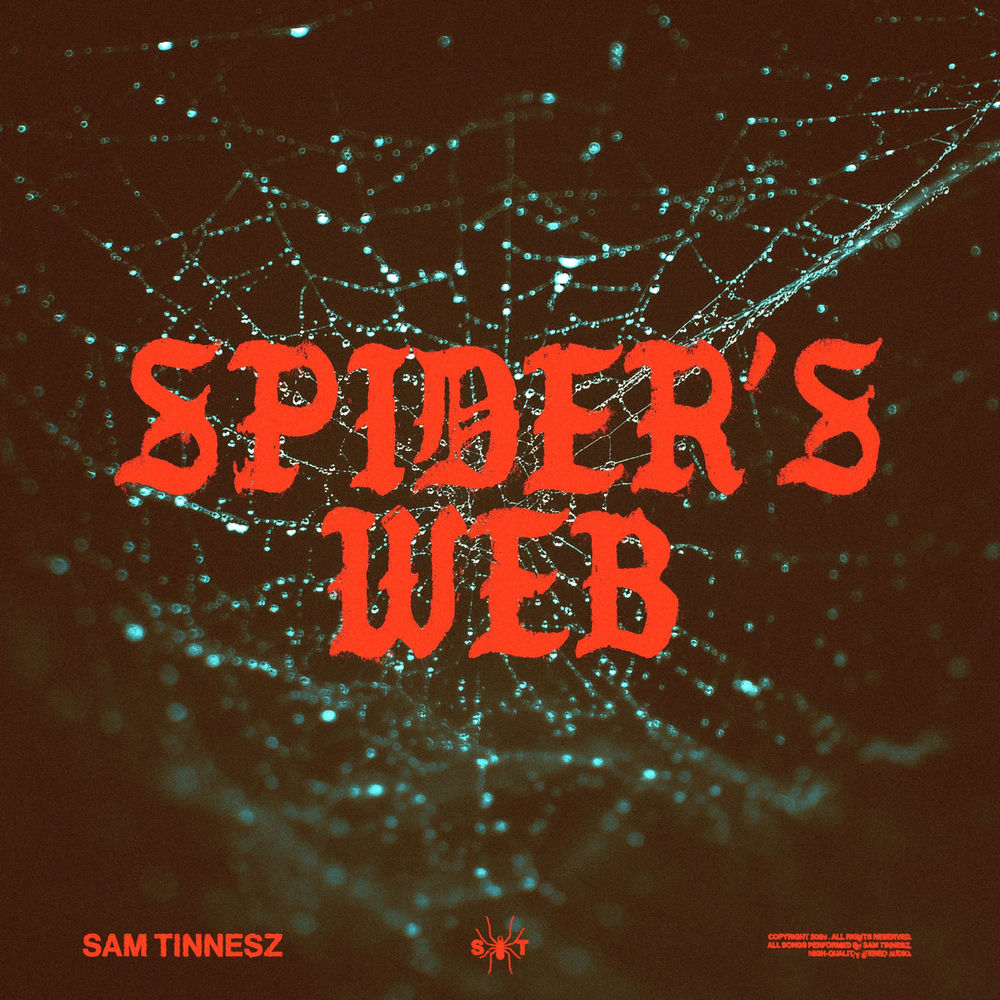 Okładka: Spider's Web