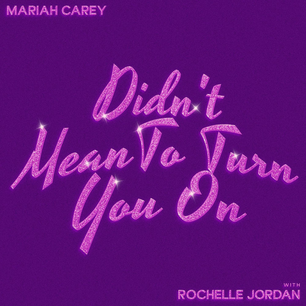 Okładka: Didn't Mean To Turn You On (with Rochelle Jordan)