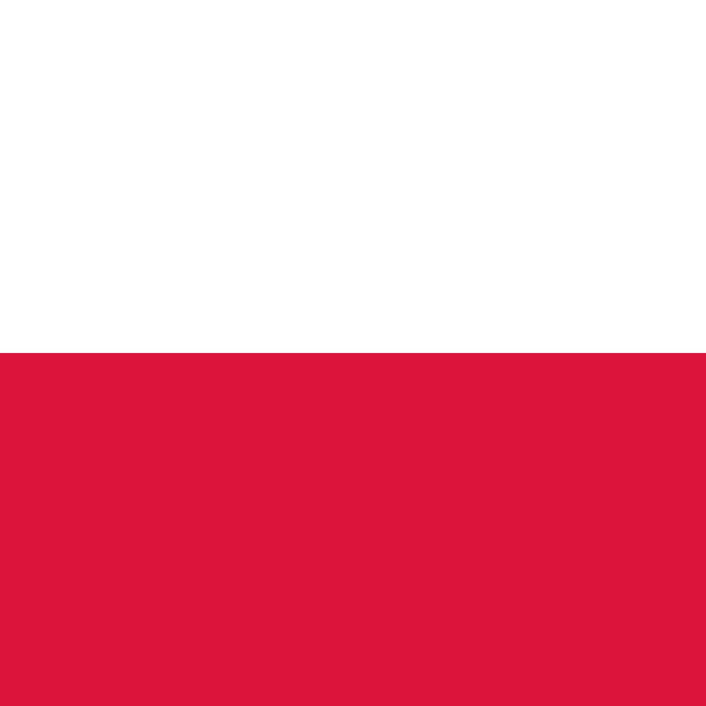 Okładka: 1DAY IN POLAND