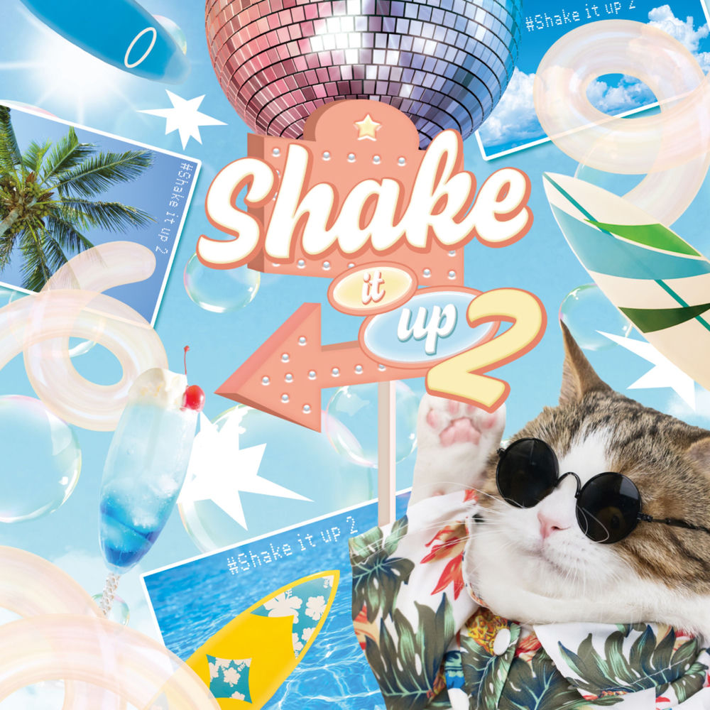 Okładka: Shake it up 2