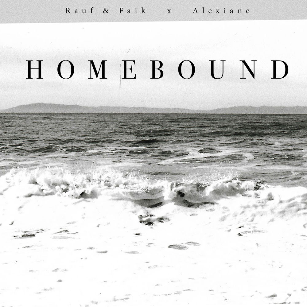 Okładka: Homebound