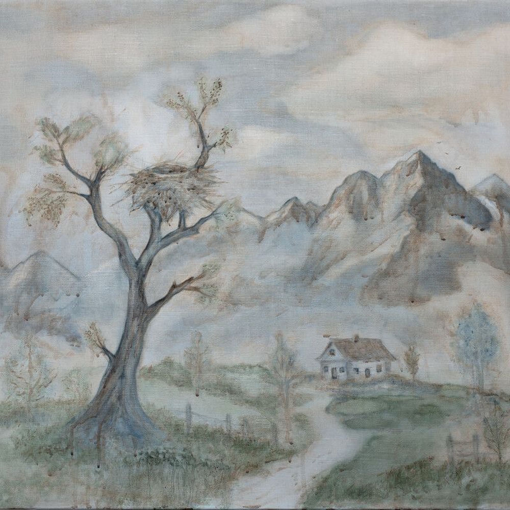 Okładka: NEST