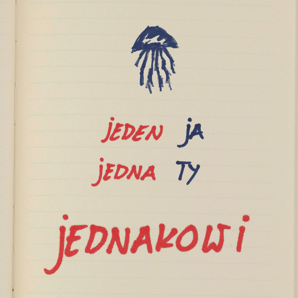 Okładka: Jednakowi