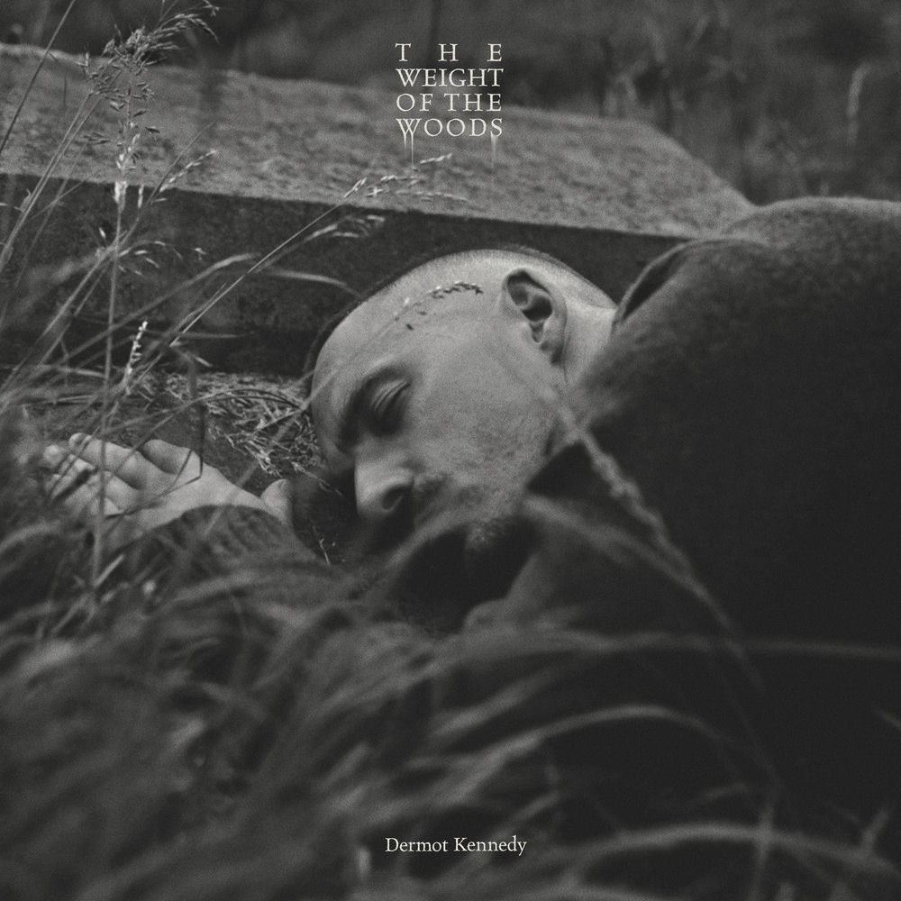 Okładka: The Weight of the Woods (Extended Edition)
