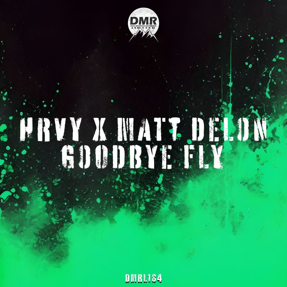 Okładka: Goodbye Fly