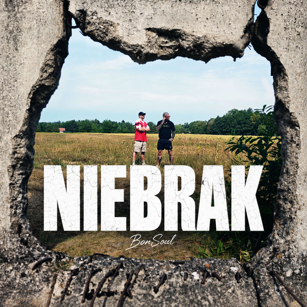 Okładka: Niebrak