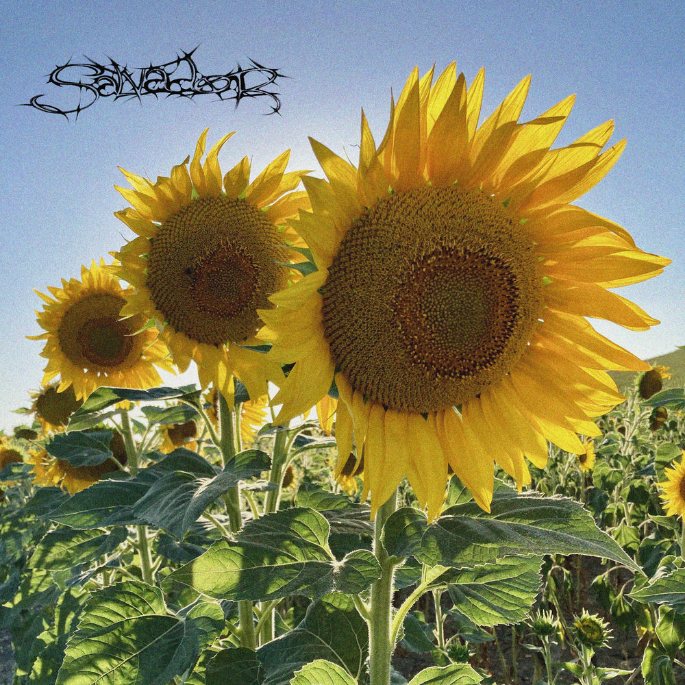 Okładka: Los Girasoles
