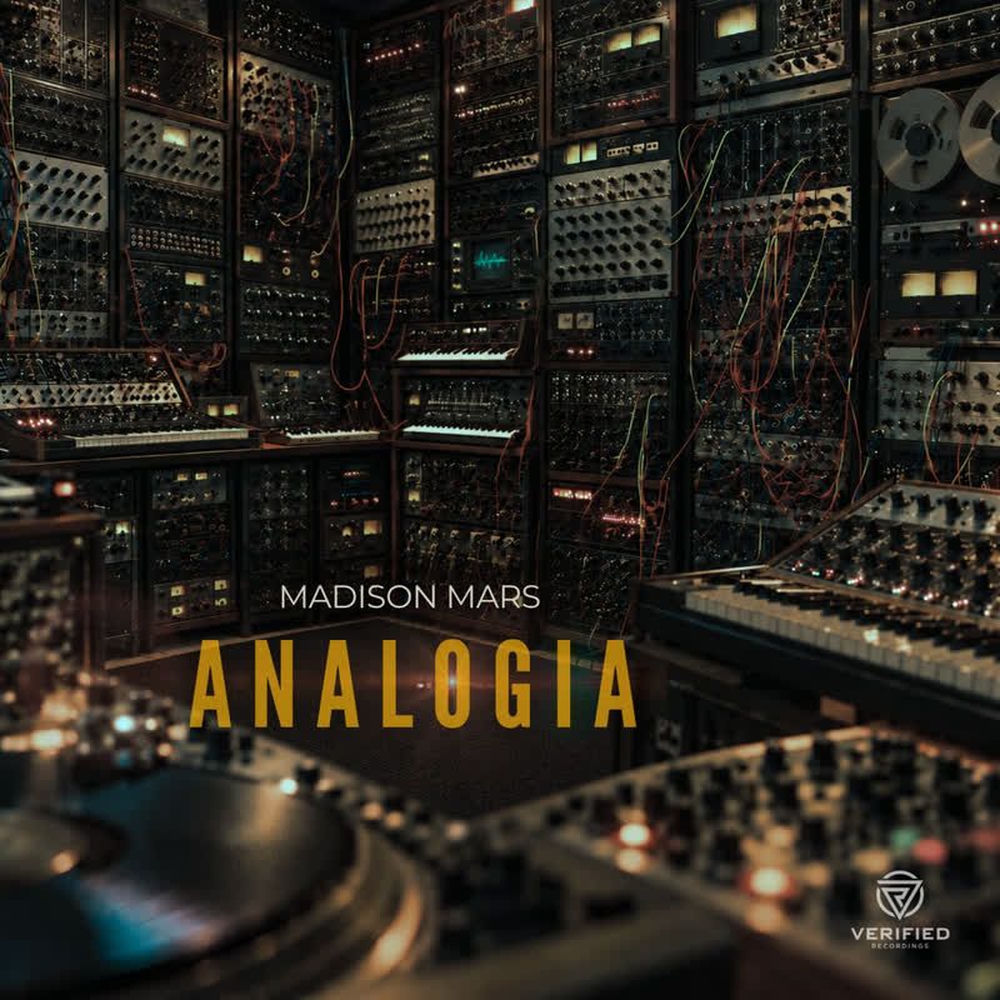 Okładka: Analogia