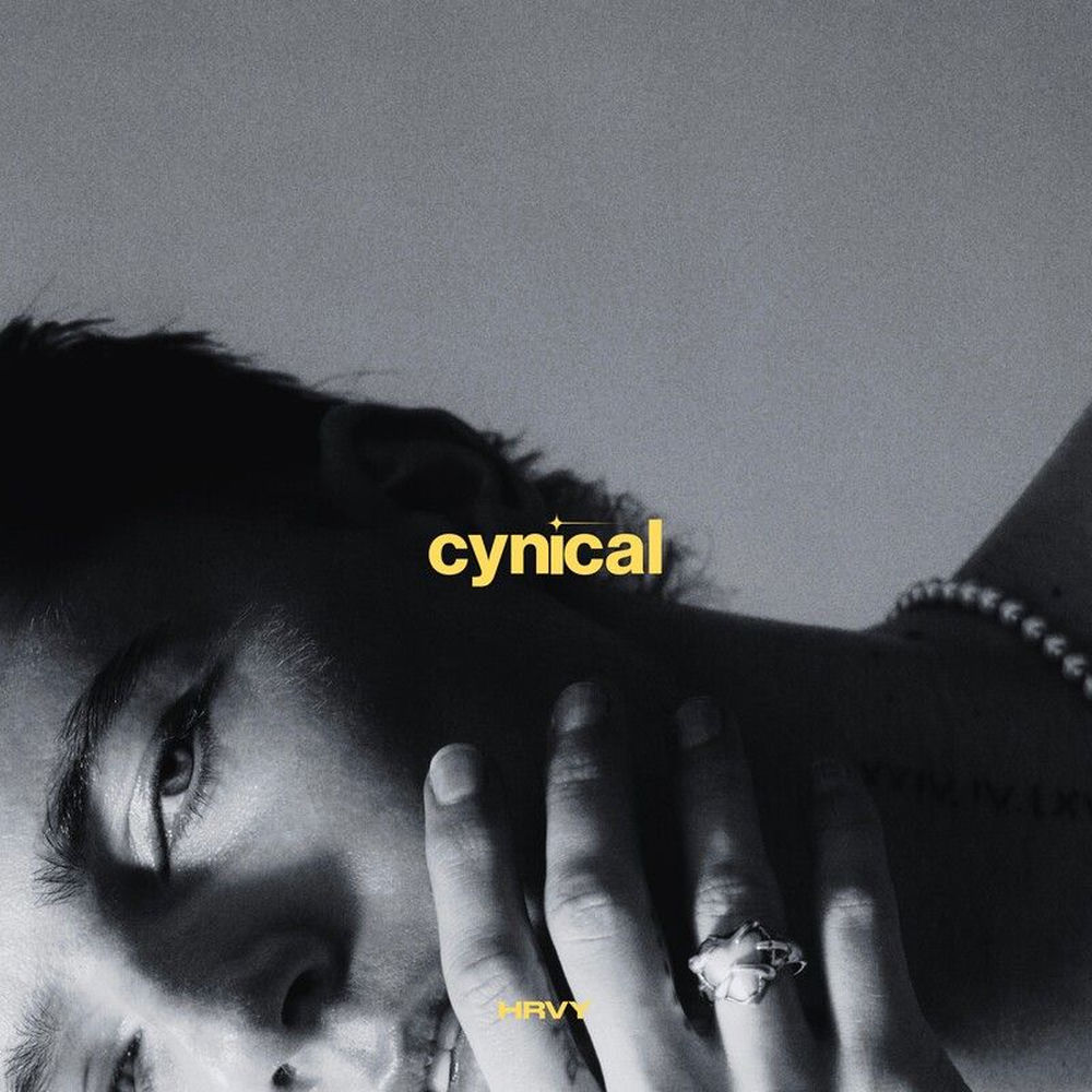 Okładka: cynical