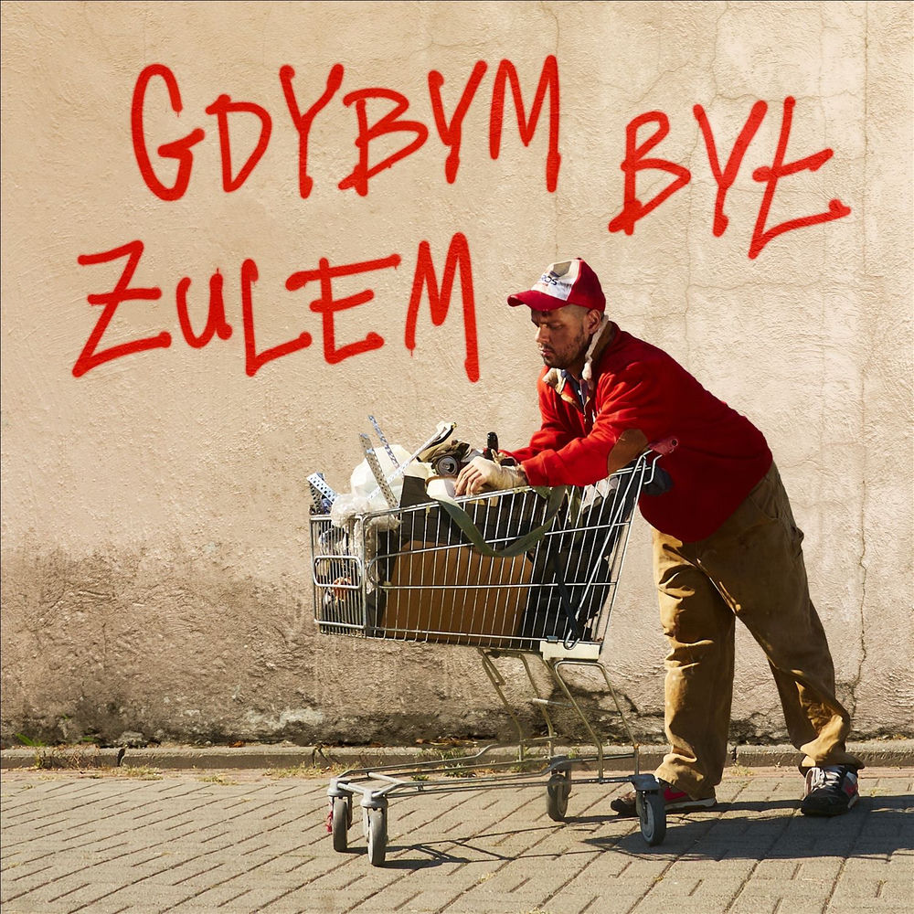 Okładka: Gdybym był żulem