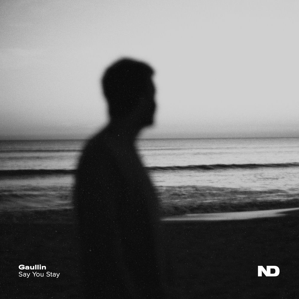 Okładka: Say You Stay