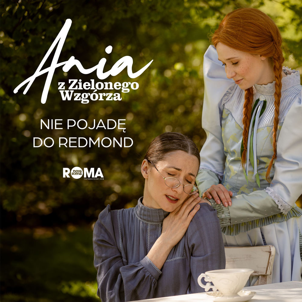 Okładka: Nie pojadę do Redmond