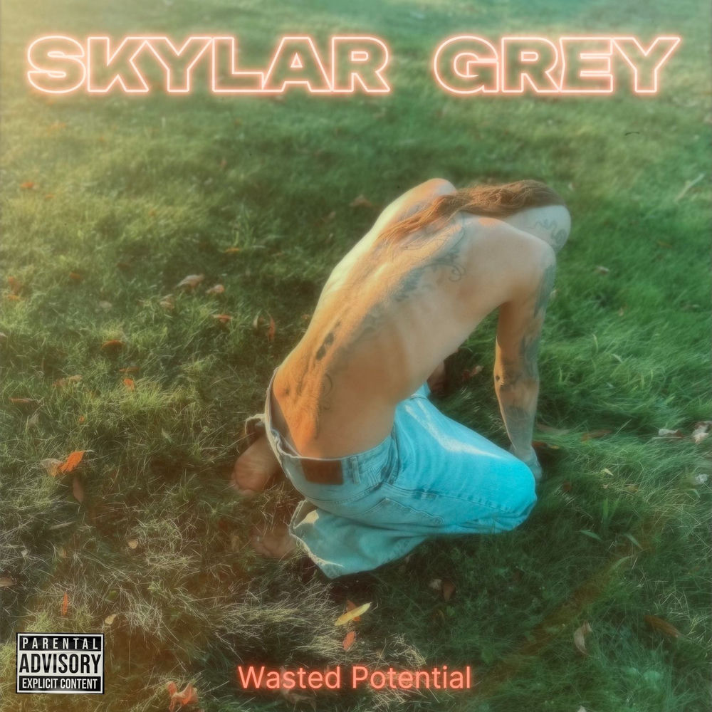 Okładka: Wasted Potential